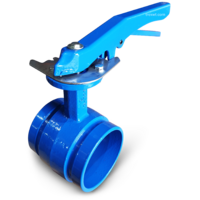 Manual Lever Operated Grooved Butterfly Valve.