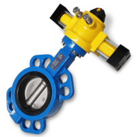 Hydraulic Actuated Butterfly Valve - Wafer