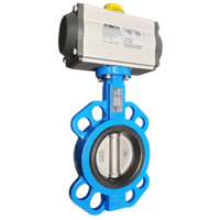 CAST IRON SPRING RETURN BUTTERFLY VALVE WITH 304 STAINLESS STEEL DISC - PN16 16 Bar