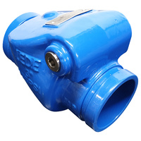 80mm Grooved Swing Check Valve