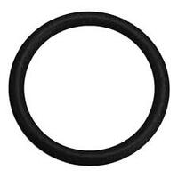 Thrust Cover Seal O Ring. Nitro HD 8100 & EXM 7100 #57397000